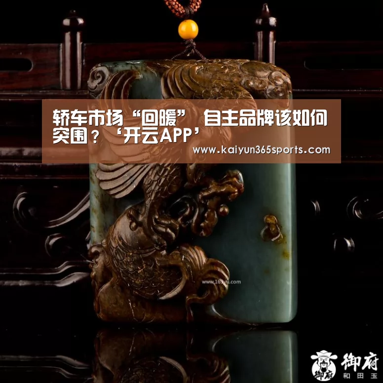 轿车市场“回暖” 自主品牌该如何突围?‘开云APP’(图1) 开云APP