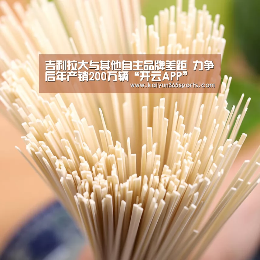 吉利拉大与其他自主品牌差距 力争后年产销200万辆“开云APP”(图2) 开云APP