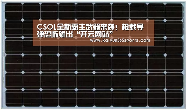 CSOL全新霸主武器来袭!枪载导弹恐怖输出“开云网站”(图2) 开云体验