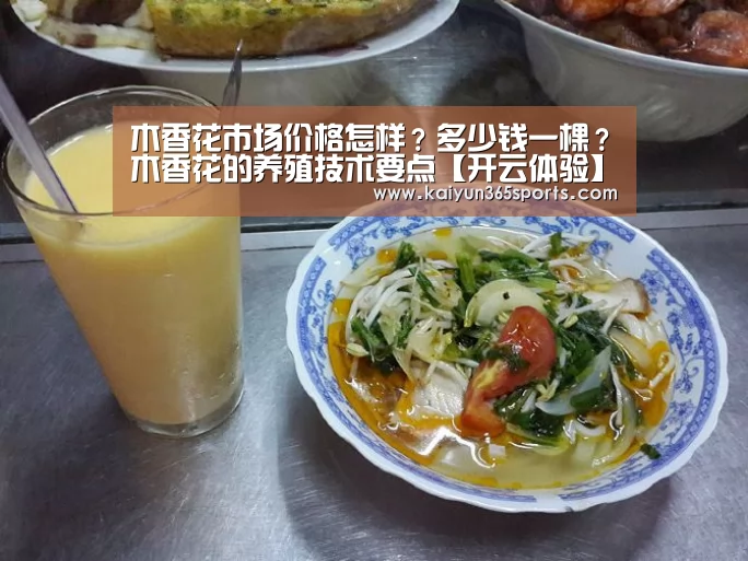 开云网站