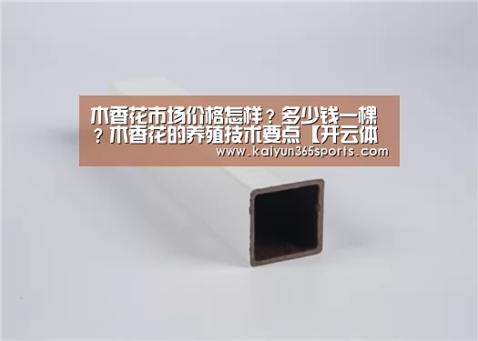 开云网站