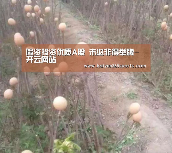 险资投资优质A股 未必非得举牌-开云网站(图1) 开云体育