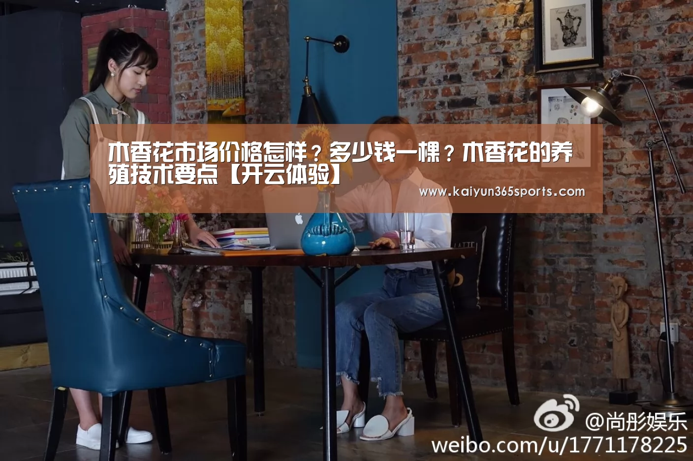 开云体验