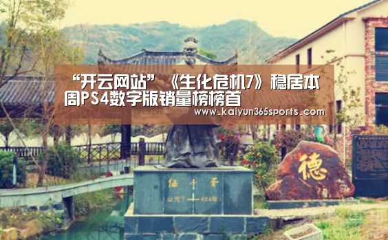 开云体验