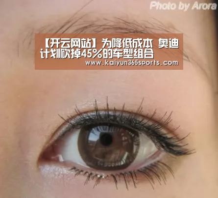 开云体验